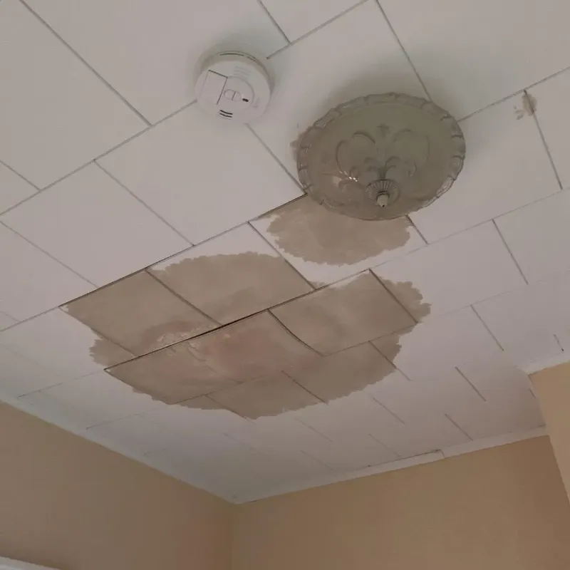 Ceiling Water Damage Repair in Elk Plain, WA